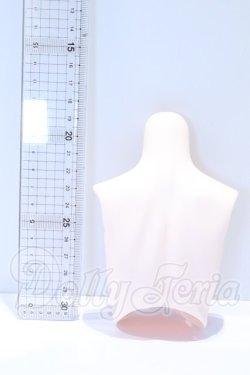 画像2: DD/DD3-B-05上半身パーツ・SS胸 S-26-06-14-006-YB-ZS