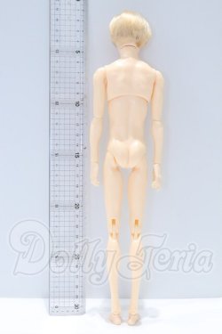 画像5: petworks/六分の一男子図鑑　NINE(ナイン) S-26-07-19-007-YB-ZS