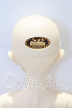 画像6: SD/リゲル 星間学寮Ver. S-26-03-01-052-SK-ZS