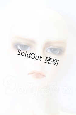 画像1: SD17BOY/ウィリアムズ 〜the young Ensign〜 S-26-07-05-508-SK-ZS