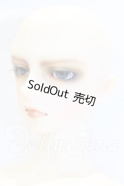 画像2: SD17BOY/ウィリアムズ 〜the young Ensign〜 S-26-07-05-508-SK-ZS