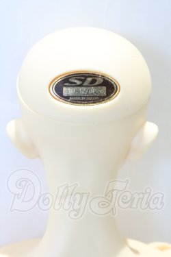 画像4: SD17BOY/ウィリアムズ 〜the young Ensign〜 S-26-05-03-056-SK-ZS
