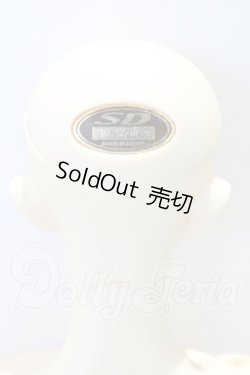画像4: SD17BOY/ウィリアムズ 〜the young Ensign〜 S-26-07-05-508-SK-ZS