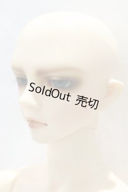 画像2: SD17BOY/ウィリアムズ 〜the young Ensign〜 S-26-06-07-356-SK-ZS
