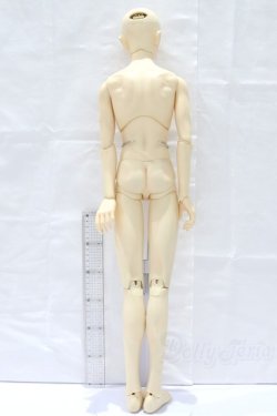 画像6: SD17BOY/ウィリアムズ 〜the young Ensign〜 S-25-12-21-053-SK-ZS