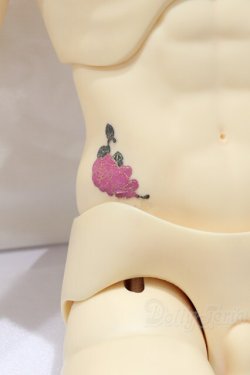 画像7: SD17BOY/ウィリアムズ 〜the young Ensign〜 S-25-12-21-053-SK-ZS