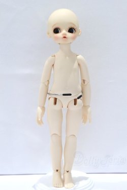 画像5: LEEKEWORLD/Pumpkin S-25-12-21-052-SK-ZS