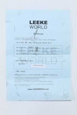 画像8: LEEKEWORLD/Pumpkin S-25-12-21-052-SK-ZS