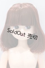 リカちゃんキャッスル/リカちゃん本体 S-25-12-21-075-YB-ZS