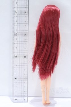 画像5: リカちゃんキャッスル/リカちゃん本体 S-25-12-21-071-YB-ZS