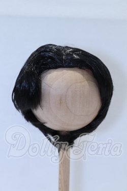 画像1: 8-9inch/ウィッグ S-26-04-05-028-SK-ZS