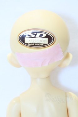 画像4: 幼SD/千夏 S-25-12-28-016-SK-ZS