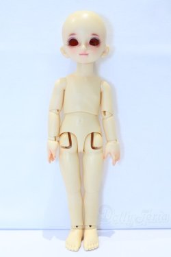 画像5: 幼SD/千夏 S-25-12-28-016-SK-ZS