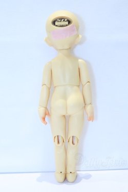 画像6: 幼SD/千夏 S-25-12-28-016-SK-ZS