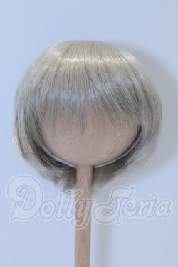 画像1: 9-10inch/ウィッグ S-26-03-22-097-SK-ZS