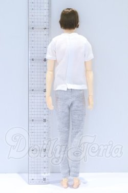 画像3: petworks/六分の一男子図鑑 ナインB1908 S-26-08-23-020-SK-ZS