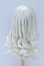 画像2: 9-10inch/ウィッグ S-26-03-22-050-SK-ZS (2)