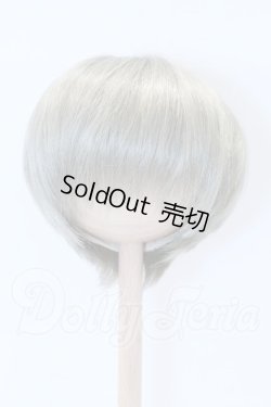 画像1: 8-9inch/ウィッグ S-26-02-15-097-SK-ZS