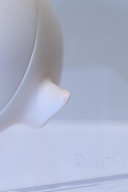 画像5: ReCi-Shop/?? S-25-12-28-006-SK-ZS