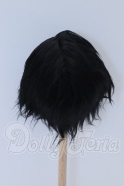 画像2: 9-10inch/ウィッグ S-26-03-08-100-SK-ZS