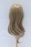 画像2: 8-9inch/ウィッグ：Ronshuka Couture様製 S-26-03-01-016-SK-ZS (2)