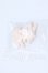 画像1: PUYOO DOLL/KUMAKO HANDS Hand Parta Human Hand 03 S-26-07-19-011-SK-ZS (1)