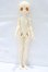 画像5: XAGA DOLL/Beimaヘッド+1/4女の子ボディ S-26-06-07-052-YB-ZS (5)