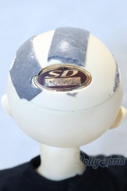 画像5: SD13男の子/フルチョイス X3I S-26-01-18-002-YB-ZS