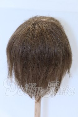 画像2: 9-10inch/ウィッグ S-26-04-19-014-YB-ZS