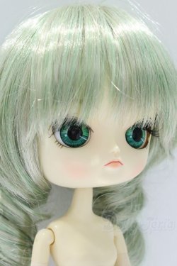 画像3: ダル/金糸雀 S-26-01-18-057-SK-ZS