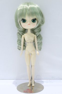 画像4: ダル/金糸雀 S-26-01-18-057-SK-ZS