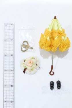 画像7: ダル/金糸雀 S-26-01-18-057-SK-ZS