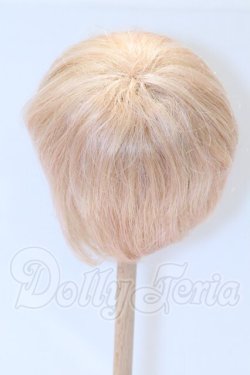 画像2: 9-10inch/ウィッグ S-26-04-19-015-SK-ZS