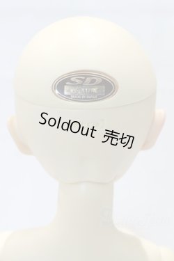 画像4: SDGIRL/ナナ【一体型ボディ】 S-26-01-25-002-SK-ZS