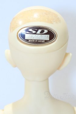 画像4: SDC女の子/楓 S-26-01-18-051-SK-ZS