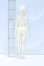 画像6: MYOU DOLL/Vieruodis S-26-06-21-052-SK-ZS (6)