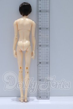 画像6: 六分の一男子図鑑/エイト S-26-09-13-053-SK-ZS