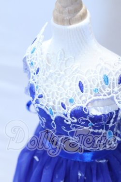 画像4: MDD/OF:衣装セット S-26-03-15-023-SK-ZS