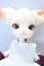 画像2: DOLK x Doll Zone/Mini Kitty S-26-10-25-019-YB-ZS (2)