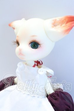 画像3: DOLK x Doll Zone/Mini Kitty S-26-10-25-019-YB-ZS