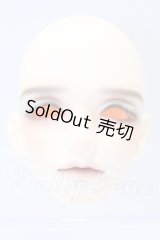 SWITCH/WUJIN Head S-26-05-17-066-YB-ZS