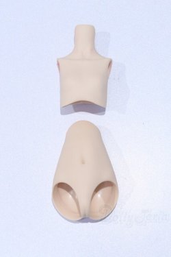 画像1: MDD/上半身・下半身パーツ S-26-02-08-021-SK-ZS