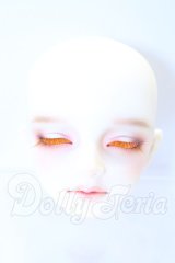 SDGr/アーニー 星間学寮ver.ヘッド S-26-02-15-007-SK-ZS