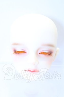 画像1: SDGr/アーニー 星間学寮ver.ヘッド S-26-02-15-007-SK-ZS