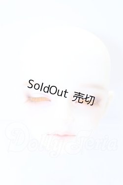 画像1: SDGr/アーニー 星間学寮ver.ヘッド S-26-02-15-007-SK-ZS