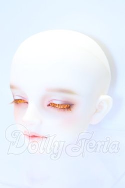 画像3: SDGr/アーニー 星間学寮ver.ヘッド S-26-02-15-007-SK-ZS