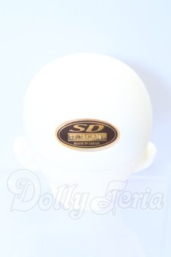 画像4: SDGr/アーニー 星間学寮ver.ヘッド S-26-02-15-007-SK-ZS