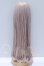 画像2: 9inch/ウィッグ　ロンシュカ様 S-26-04-12-045-SK-ZS (2)