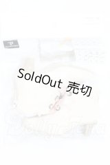 SDGrG/VOLKS製SB-SD-250 S-26-05-24-050-SK-ZS