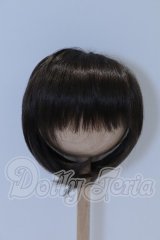 9-10inch/ウィッグ S-26-06-21-049-SK-ZS